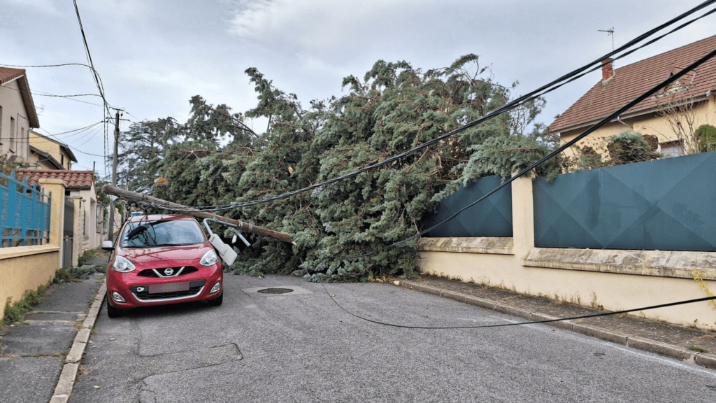 Bilan de la tempête Bert des 24 et 25 novembre sur la France